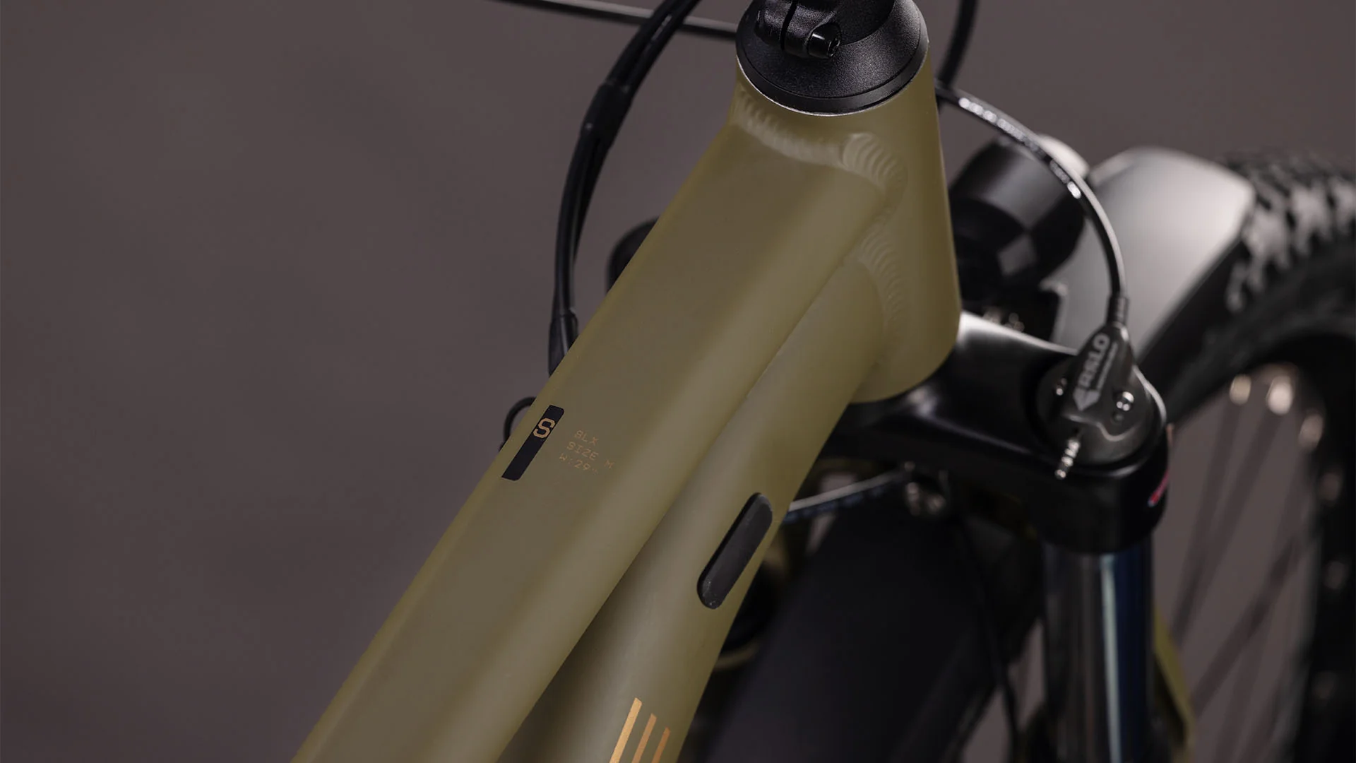 Cube Aim SLX FE dustyolive´n´gold 2026 - Image 2