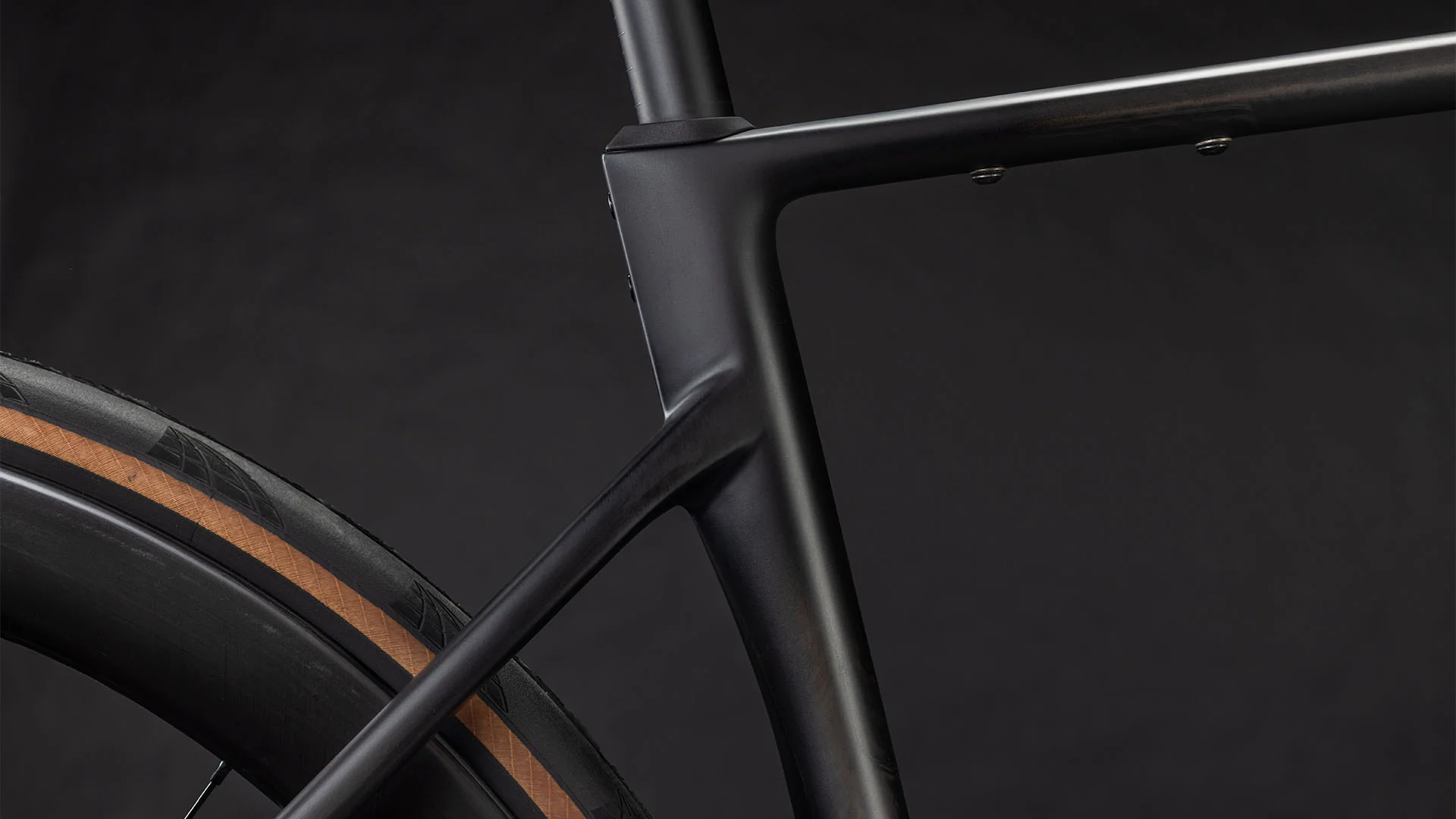 Cube Attain C:62 SLT carbon´n´coalchrome 2026 - Image 4